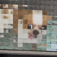 pixeldog (PIXELDOG) token icon