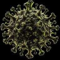 PLAGUE (PLAGUE) token icon