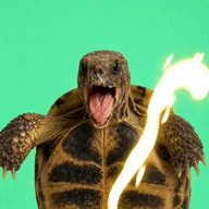 Ploddy The Humping Turtle (PLODDY) token icon