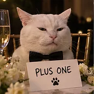 PLUS ONE (PLUS1) token icon