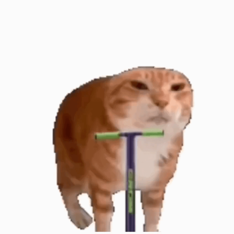 pogocat (POGOCAT) token icon
