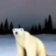 polar ber (BER) token icon
