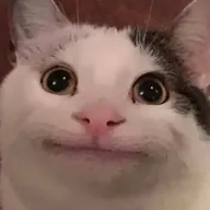 PoliteCat (POLITECAT) token icon
