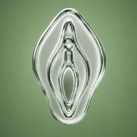pooncoin (POON) token icon