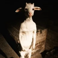 poorgoat (POORGOAT) token icon