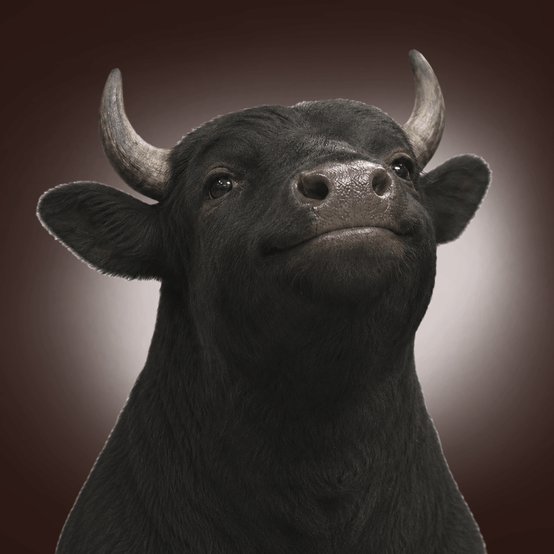 Popbull (POPBULL) token icon