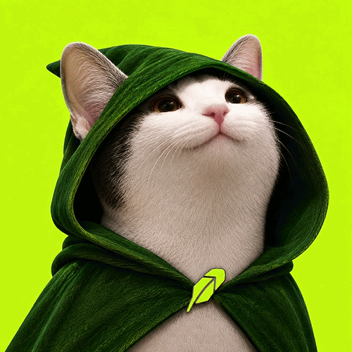 Popcat in Hood (POPCAT) token icon