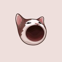 Popcat (POPCAT) token icon