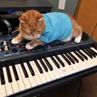 KeyboardCat (PRESLEY) token icon