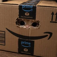 Prime Cat (PRIMECAT) token icon