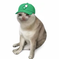 PUMPCAT (PUMPCAT) token icon