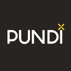 Pundi X (PUNDIX) token icon