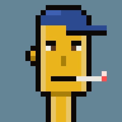 rPunks (PUNKS) token icon