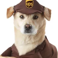 UPS PUPS (PUPS) token icon