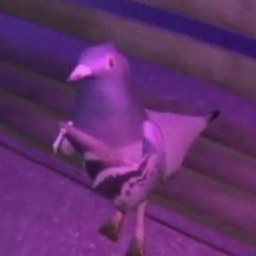 pigeon wif cig (PWC) token icon