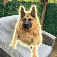 Quasi The Great (QUASIMODO) token icon