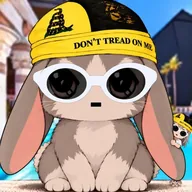 rabbitcoin (RABBIT) token icon