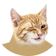 Ramirez el gato (RAMIREZ) token icon