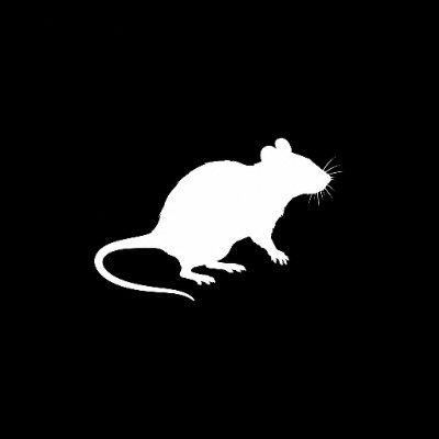 rattery experiment (RATTERY) token icon