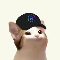 raycat (RAYCAT) token icon