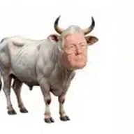 The Boomer Bull (RICHARD) token icon