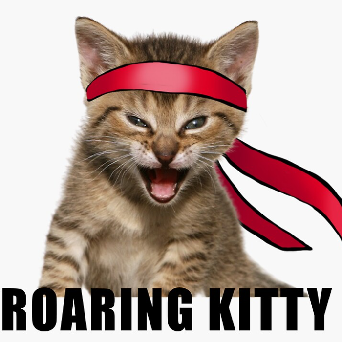 Roaring Kitty (RKT) token icon