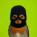 Robbin The Hood (ROBBIN) token icon