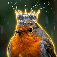 Robin King (ROBINKING) token icon