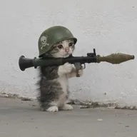 cat wif rocket (ROCKETCAT) token icon
