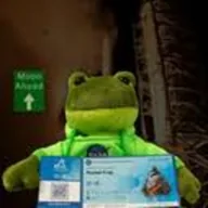 Rocket Frog (ROCKETFROG) token icon
