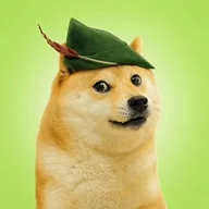 Robinhood DOGE (ROGE) token icon