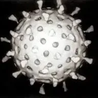 Rotavirus (ROTAVIRUS) token icon