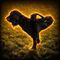 Rupert The Dog (RUPERT) token icon
