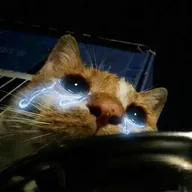 Sad Cat (SADCAT) token icon