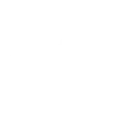 Salvor (SALVOR) token icon