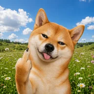 SASSYSHIBA (SASS) token icon