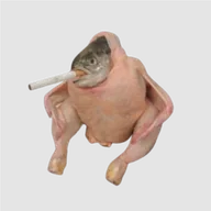Smoking Chicken Fish (SCF) token icon