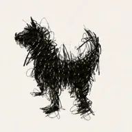 Scribblification (SCRIBBLIFY) token icon