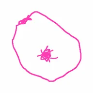 Scribble Boob (SCRIBOOB) token icon