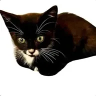 scrimpus (SCRIMPUS) token icon
