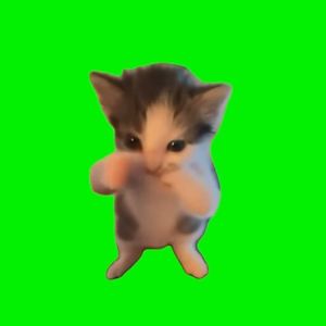 scuba cat (SCUBACAT) token icon