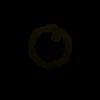 Sentry (SENTRY) token icon
