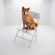 DOGONSHATCHAIR (SHATCHAIR) token icon