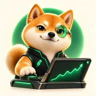 Shiba On Duty (SHDUTY) token icon