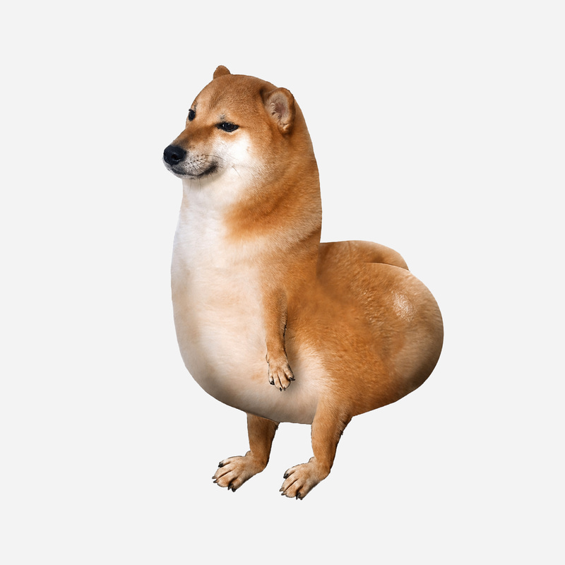 Shibabutt (SHIBABUTT) token icon