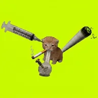 SmokingInjectingChiefingCat (SICC) token icon