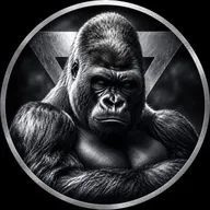 SILVERBACK (SILVERBACK) token icon
