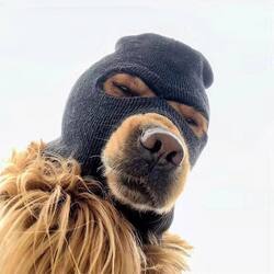 Ski Mask Dog (SKI) token icon