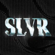 Slvr (SLVR) token icon