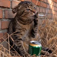 Smoking Beer Cat (SBC) token icon